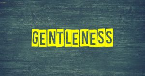 GENTLENESS – Fruit of the Spirit